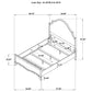 Revello 67-inch Queen Panel Bed Washed Mango