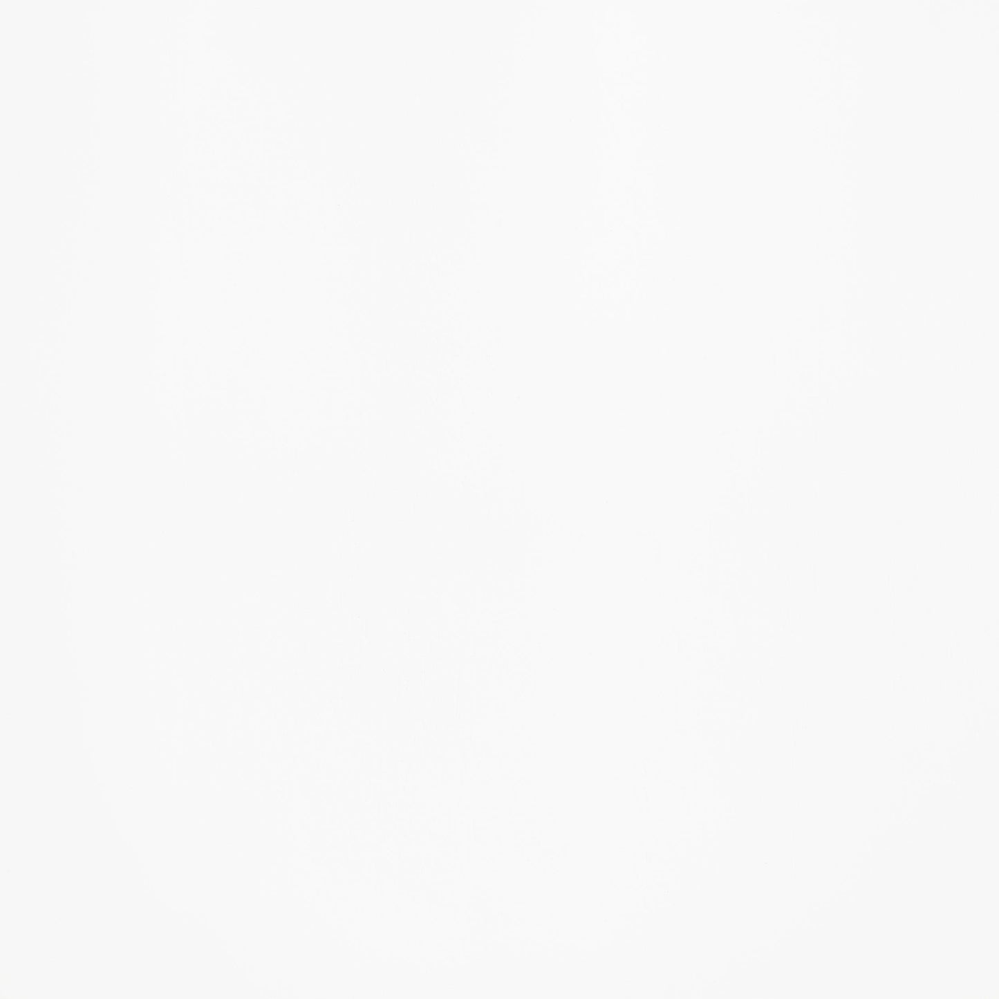 Andrews 66-inch Rectangular Dining Table Light Ash and White