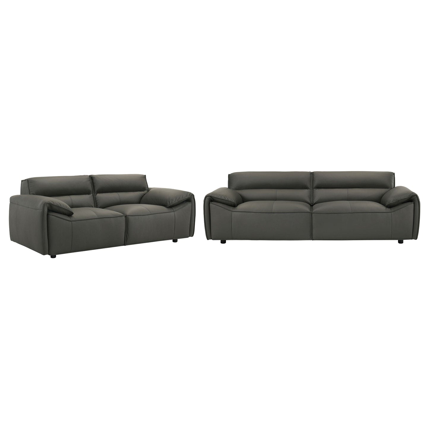 Buxton 2-piece Leather Upholstered Sofa Set Graphite