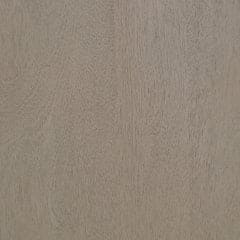 Lettner Queen Sleigh Bed with 2 Storage Drawers with Mirrored Dresser