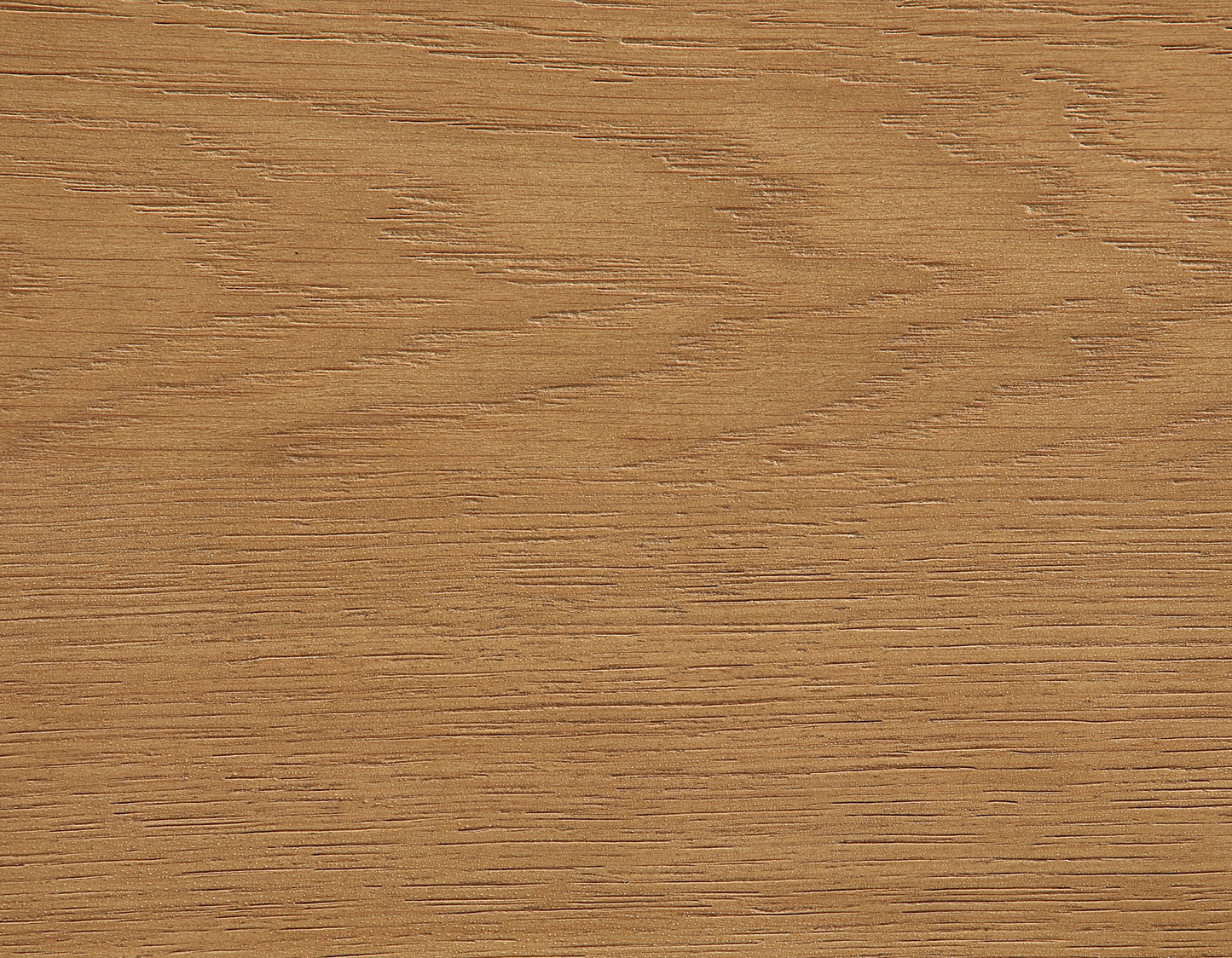 Preston Server, Brown