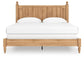 Aleaport King Panel Bed with Mirrored Dresser