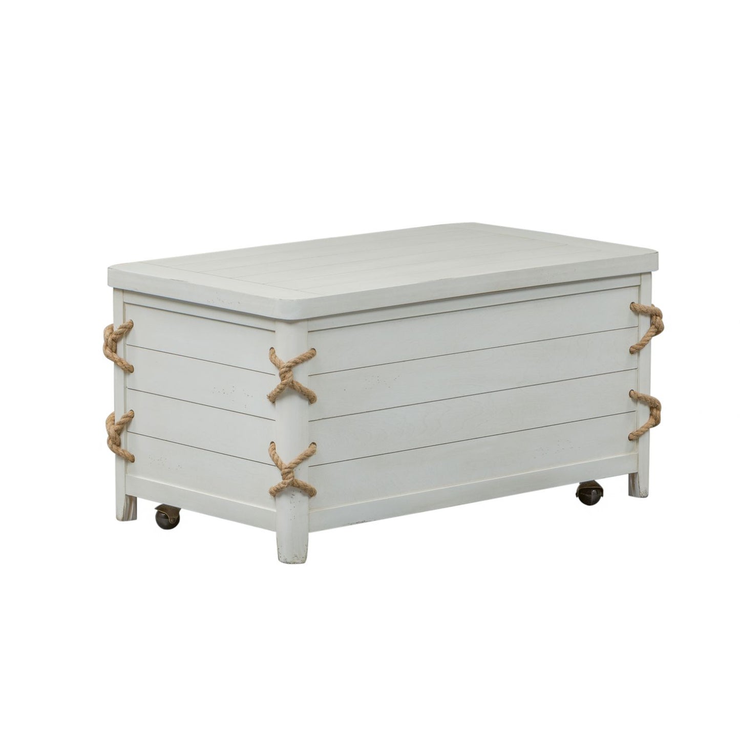 Storage Trunk