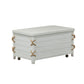 Storage Trunk