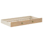 Evren Twin-over-Twin Bunk Bed with Trundle and Ladder Tri-Tone