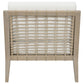 Cantu Seagrass Accent Chair White and Weathered Natural