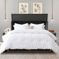 Aruba Queen Size Wooden Cabinet Bed in Coffee Finish with USB Port, Drawer, and 6-Inch Tri-Fold Memory Foam Mattress