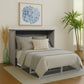 Paloma Queen Size Wooden Cabinet Bed in Beach Sand Finish with USB Port, Drawer, and 6-Inch Tri-Fold Memory Foam Mattress