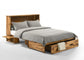 Ranchero-Murphy-Cabinet-Bed-Bakar-Open-3-1024x731-1.jpg