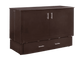 Sagebrush Murphy Cabinet Bed