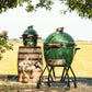 MiniMax Big Green Egg Package