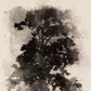 Tree Sketch I by Coup D'esprit