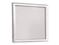 Omni Mirror