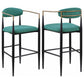 Tina Metal Pub Height Bar Stool with Upholstered Back and Seat Green (Set of 2)