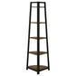 Jacksonville 63-inch 5-shelf Bookshelf Black and Aged Walnut