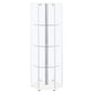 Zahavah 4-shelf Hexagonal Clear Glass Curio Cabinet White