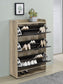 Denia 3-tier Engineered Wood Shoe Cabinet Grey